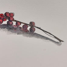 Load image into Gallery viewer, Carolina Snailseed Twig