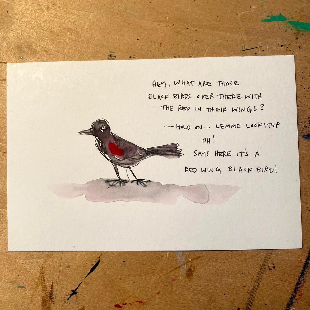 Red-Winged BlackBird
